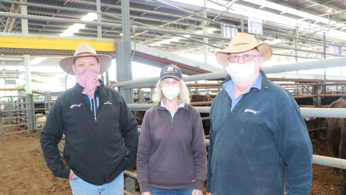Strong cattle sale at Euroa Country News