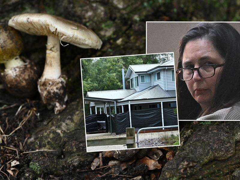 'Cruel' mushroom killer in rare air as key thrown away
