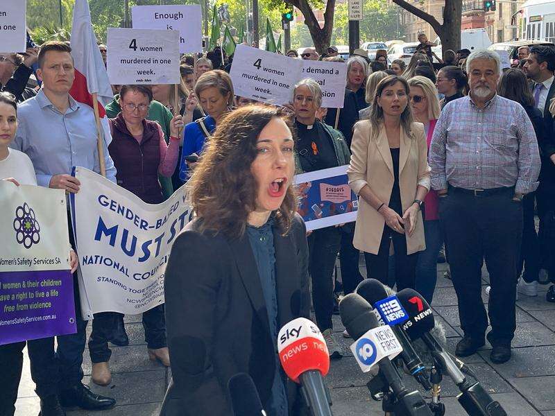 Calls mount for SA domestic violence royal commission | Dairy News ...