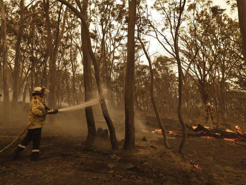 Further delays to Black Summer bushfire inquiry | Country News