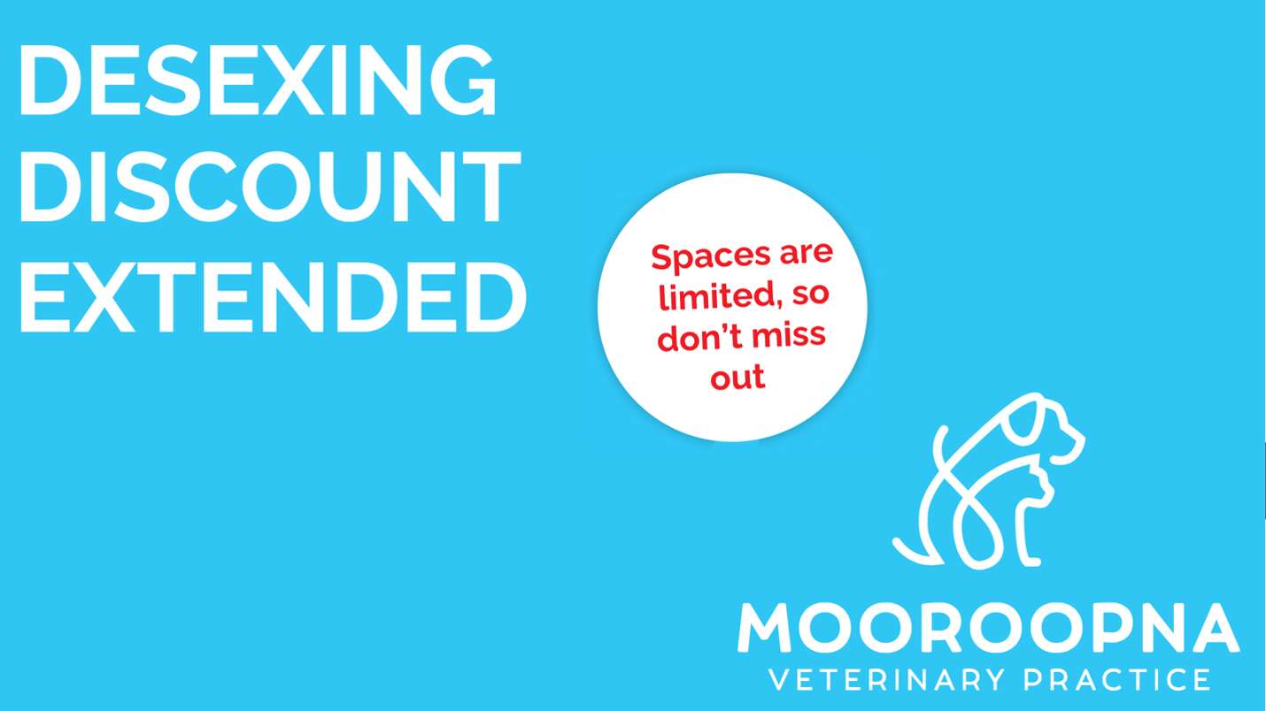 Popular Desexing Offer Extended at Mooroopna Veterinary Practice
