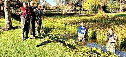 Weeding out weeds | Riverine Herald