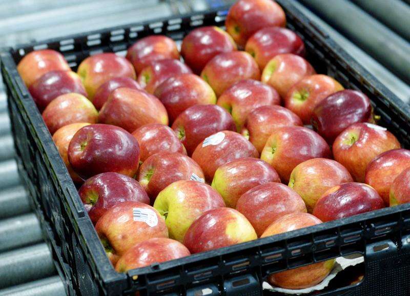 Improving food traceability