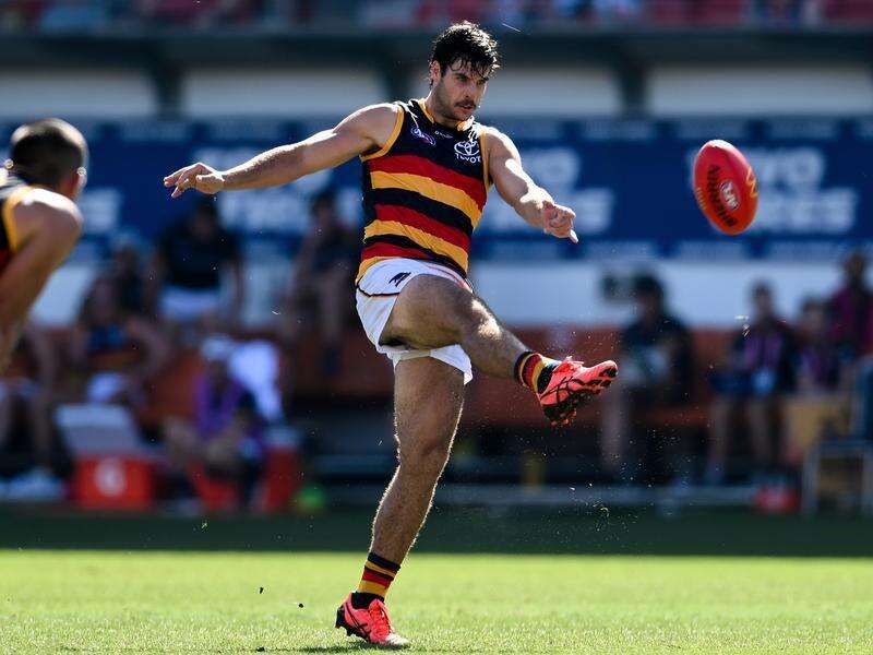 Adelaide forward Fogarty pushing for AFL return | Kyabram Free Press