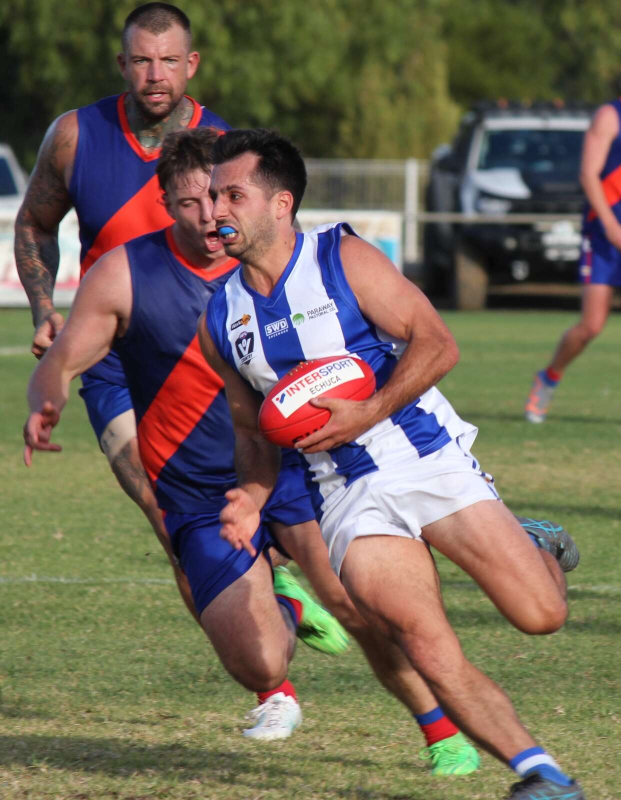 Resilient Rovers to face ladder-leaders | Deniliquin Pastoral Times