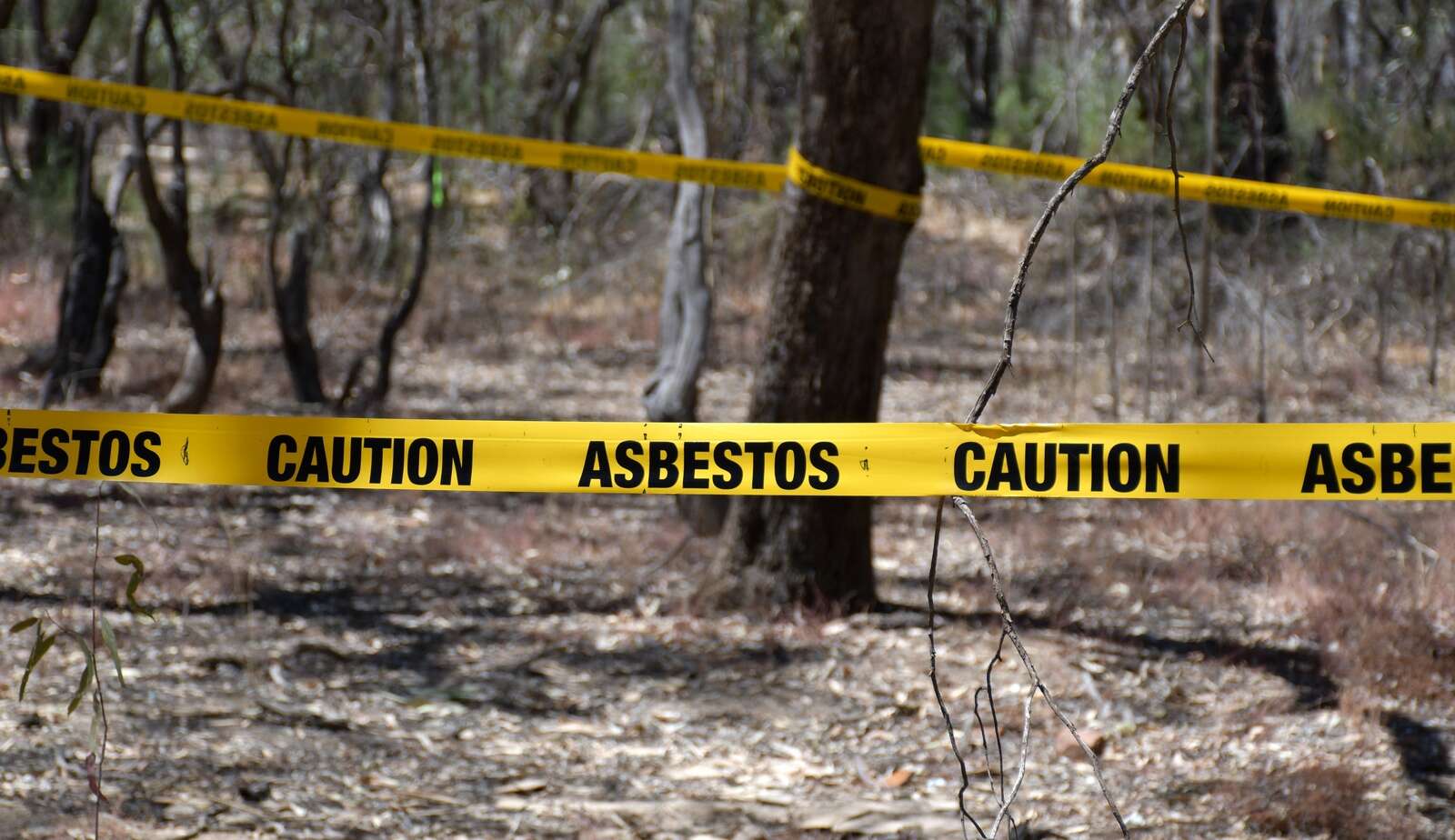 Asbestos threat uncovered in popular reserve