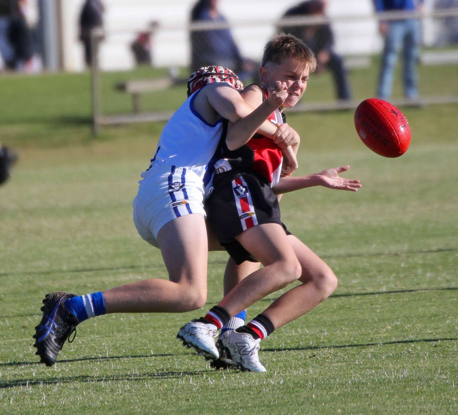 Undermanned Rovers show plenty of fight | Deniliquin Pastoral Times
