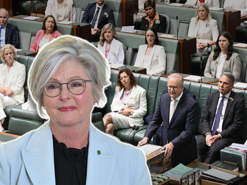 Abuse of women MPs 'supercharged' by social media