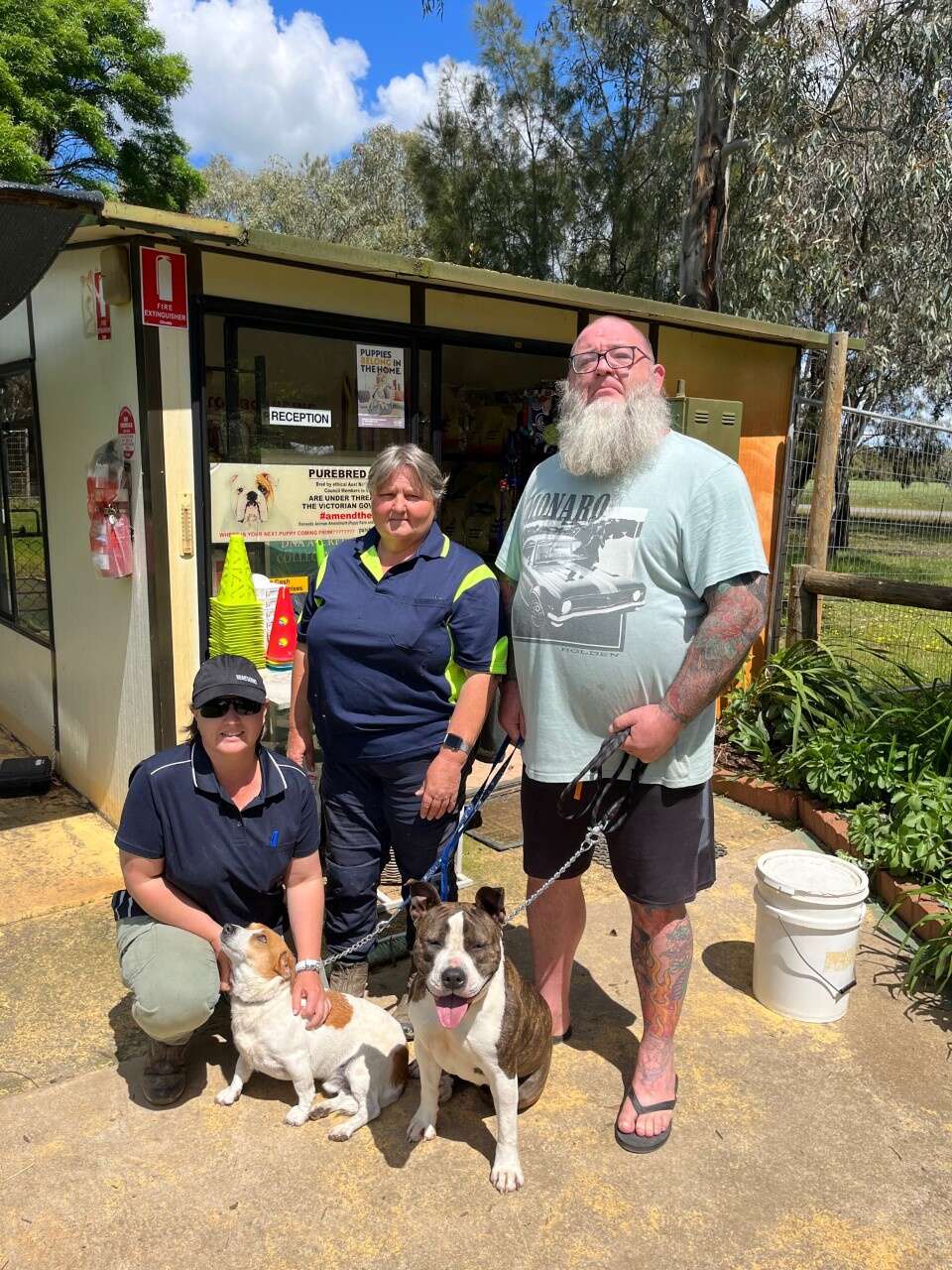 Riverina boarding online kennels