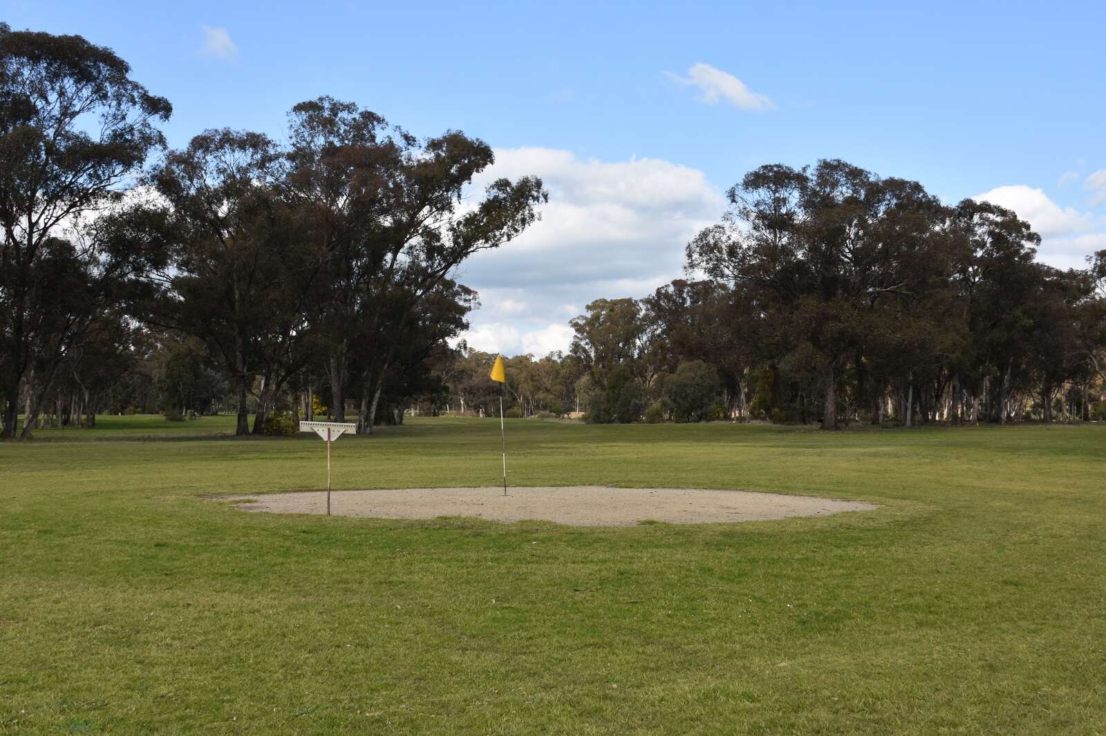 The forgotten Benalla golf course waiting to be rediscovered | Benalla ...