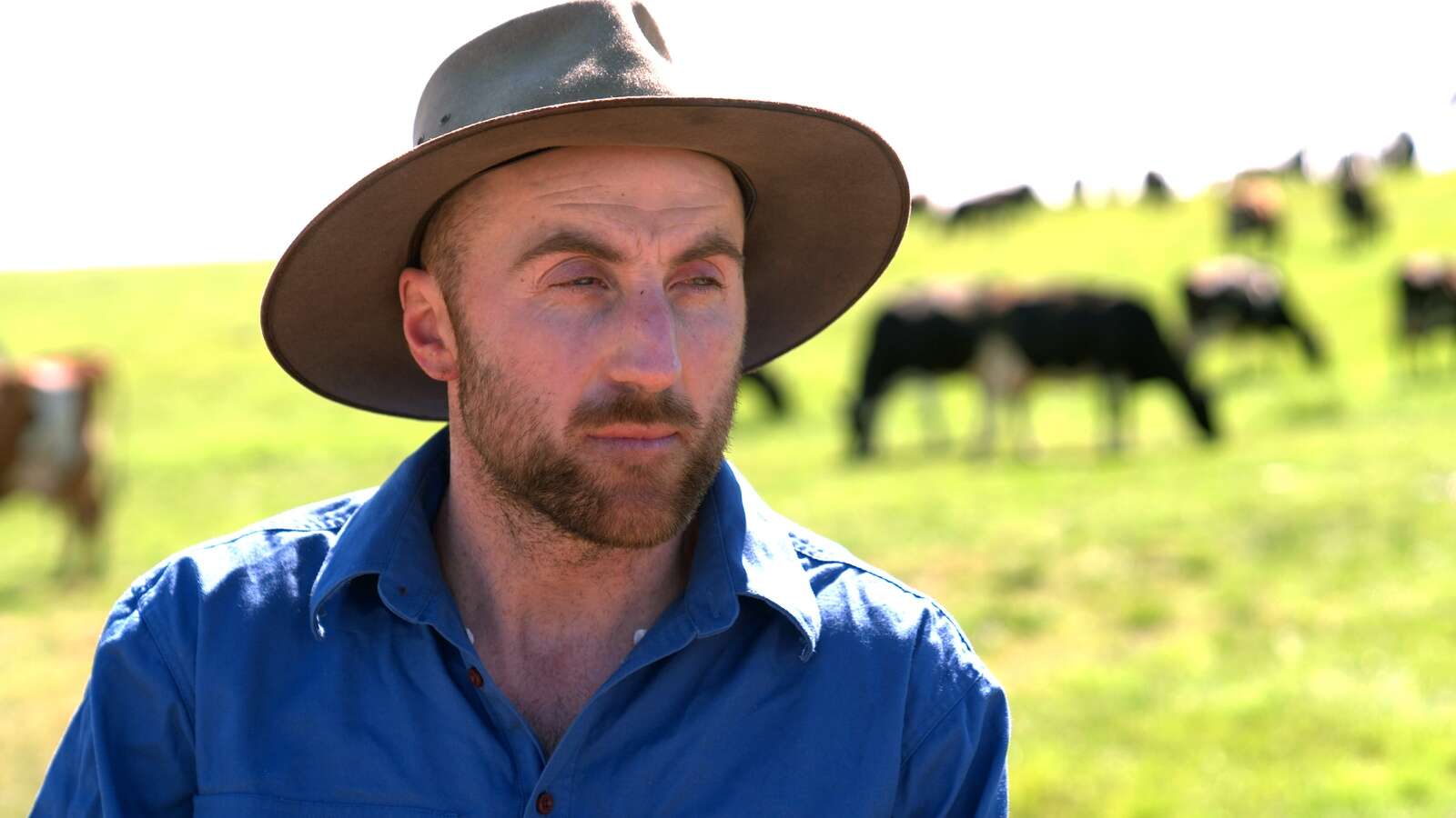 Cadbury honours its outstanding farmers Yarrawonga Chronicle
