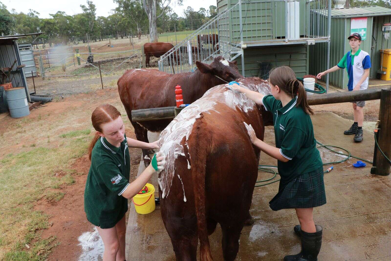 Can we expect to study agriculture in Shepparton? Country News