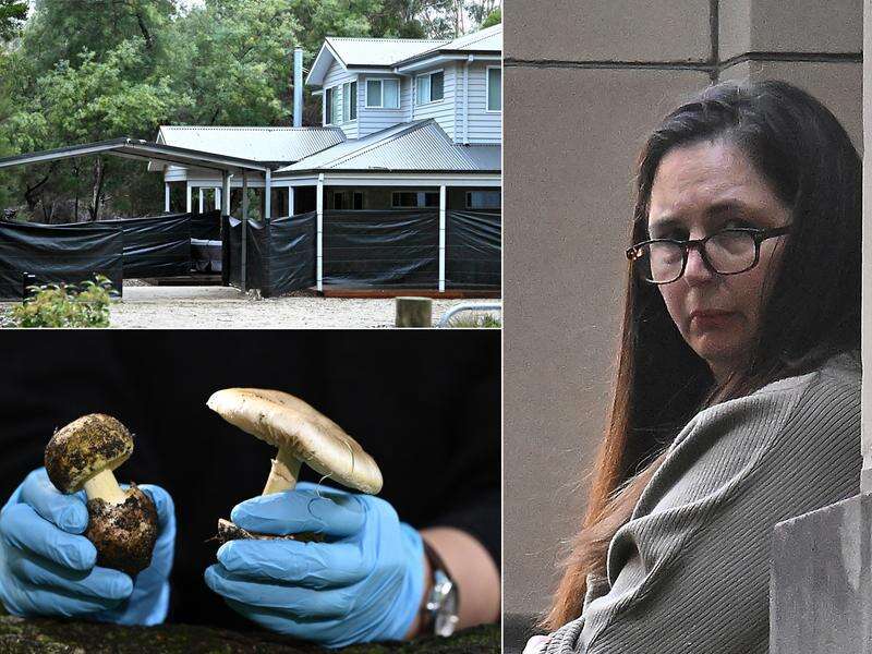 Mushroom killer's mercy plea as life behind bars looms | Country News