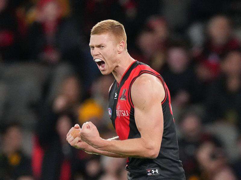 Injurysmashed Bombers seeing light at end of tunnel Shepparton News