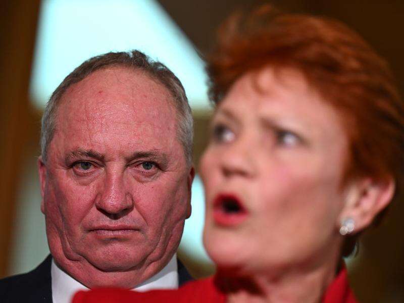 'No resources': One Nation defends uncosted policies