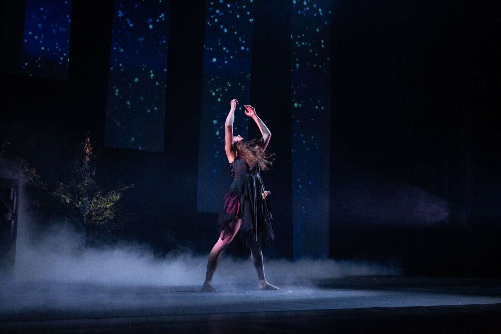 Fairytale to dazzle the Dookie quarry Shepparton News