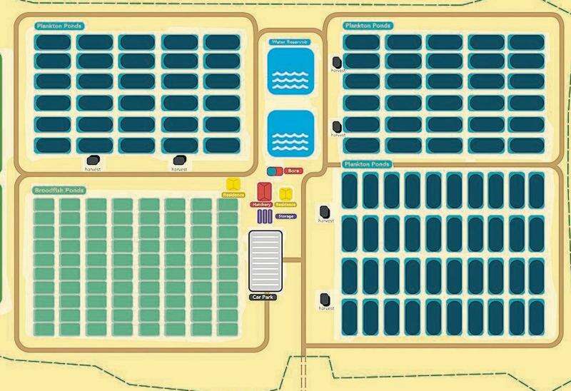 Arcadia home to new fish hatchery Country News