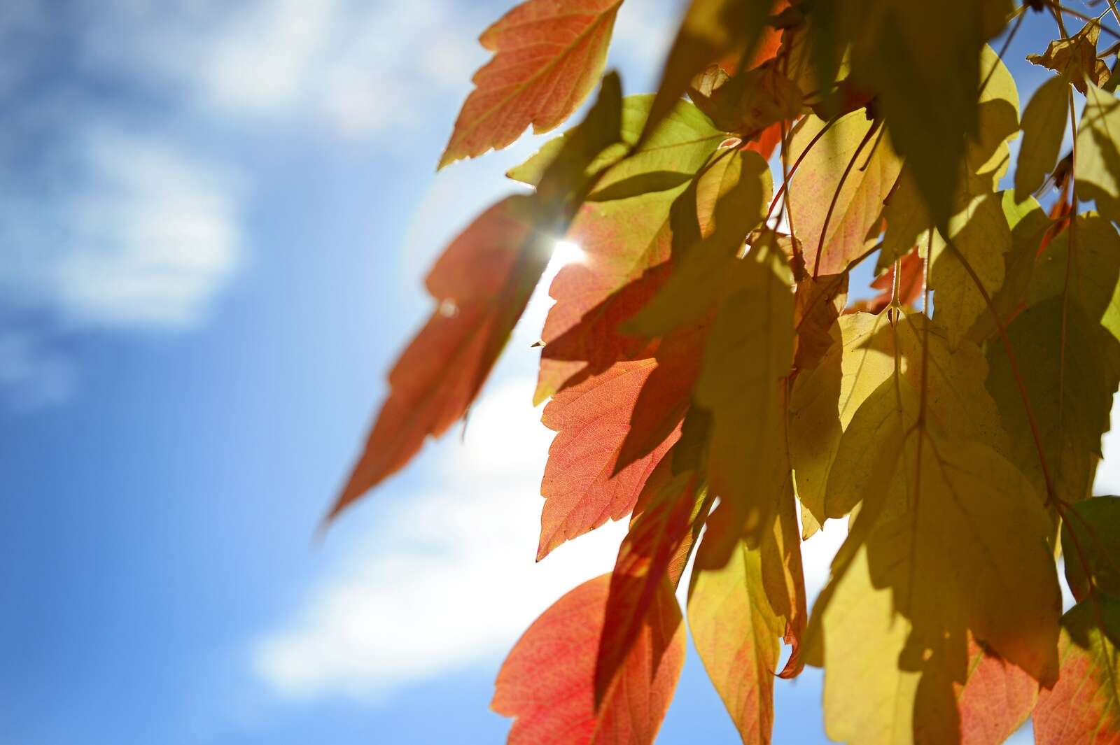 Autumn's an invite to slow down