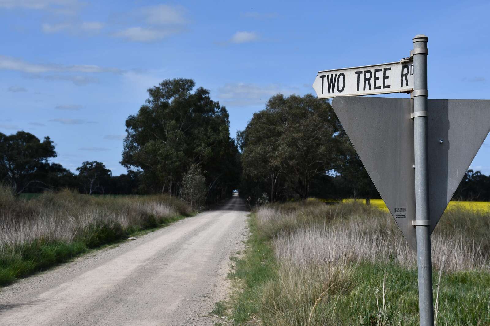 Council asks government for help in $9 million project to fix key ...