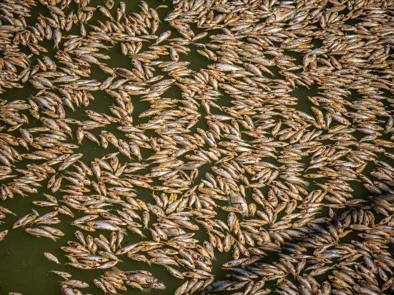 Asbestos report delayed after fish kill inquiry ordered | Cobram Courier