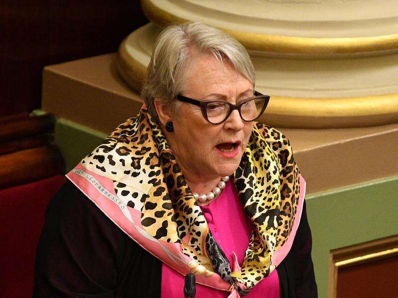 Liberal MP rebuked for 'hurtful' Indigenous comments | Kyabram Free Press