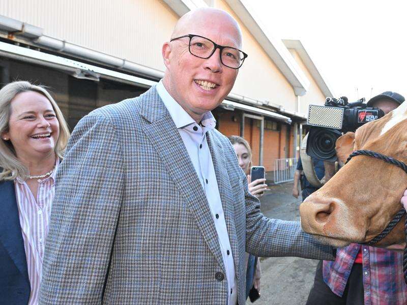 Upbeat Dutton visits Easter show despite support slide | Country News