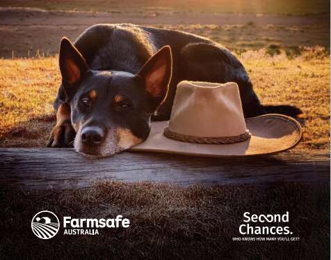 WFI Insurance releases farm accident insights | Dairy News Australia