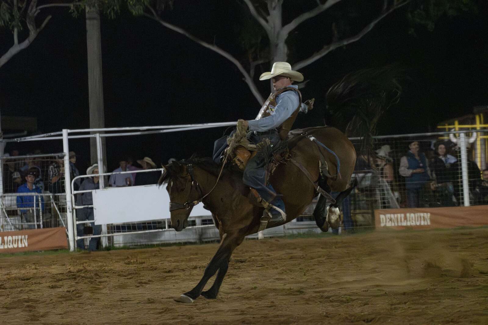 Riley's rodeo redemption | Deniliquin Pastoral Times