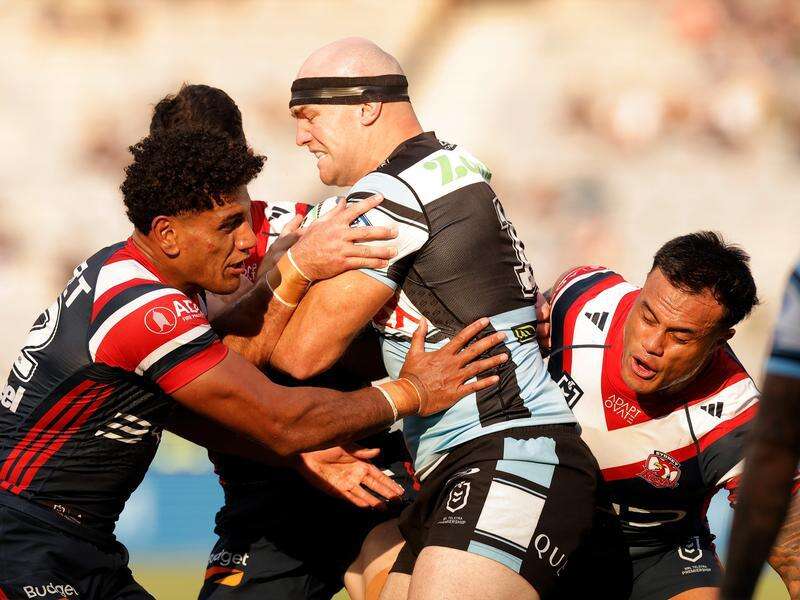 Sharks cult hero out to make up for lost finals time