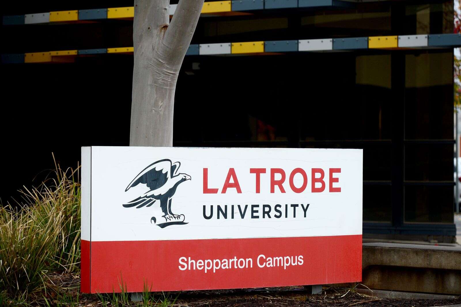 La Trobe University and GOTAFE join for open day Shepparton News