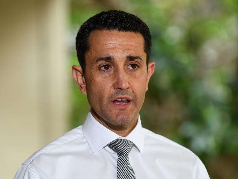 Qld opposition leader won't support voice to parliament | Shepparton News