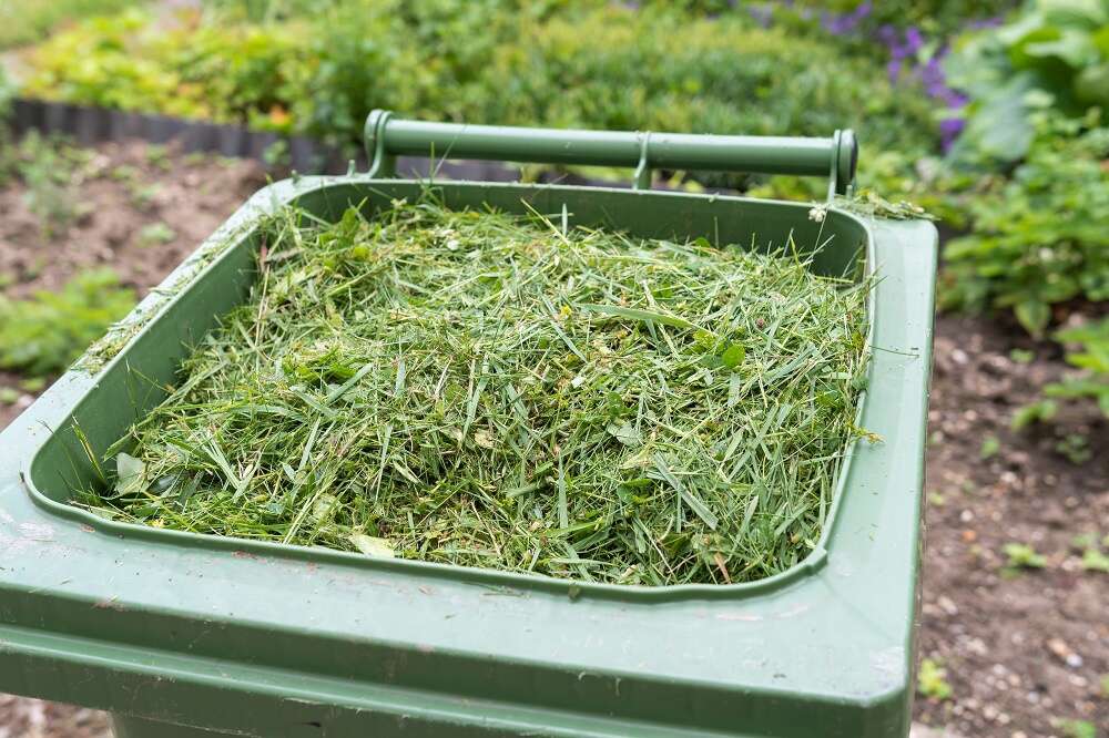 Free green waste disposal at transfer stations Riverine Herald