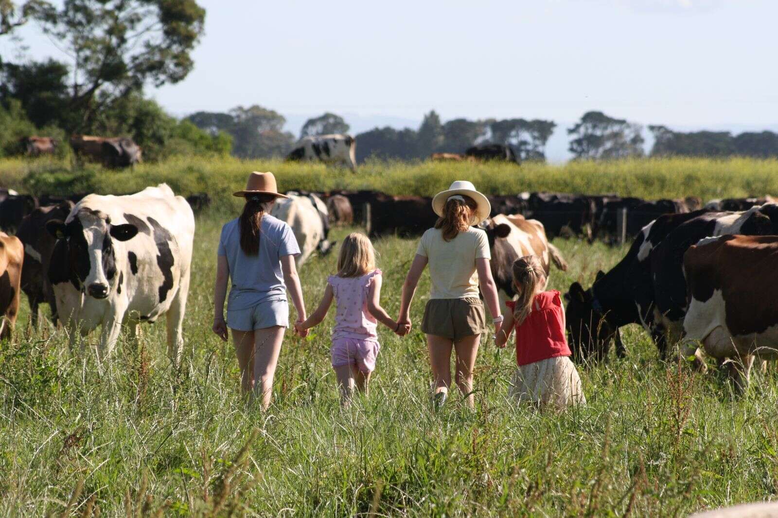 Get inspired at the muster | Dairy News Australia