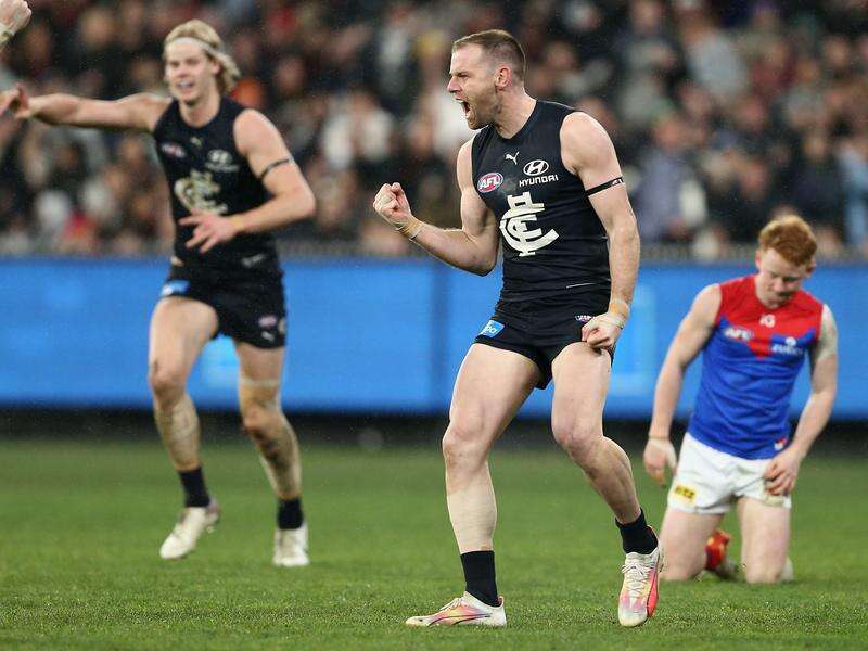 Foot issue puts pre-season on hold for Blues' Docherty | Riverine Herald