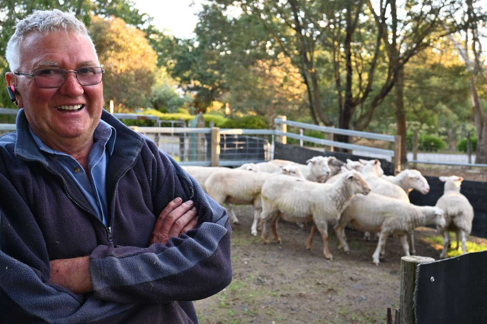 Rustling days are numbered | Shepparton News