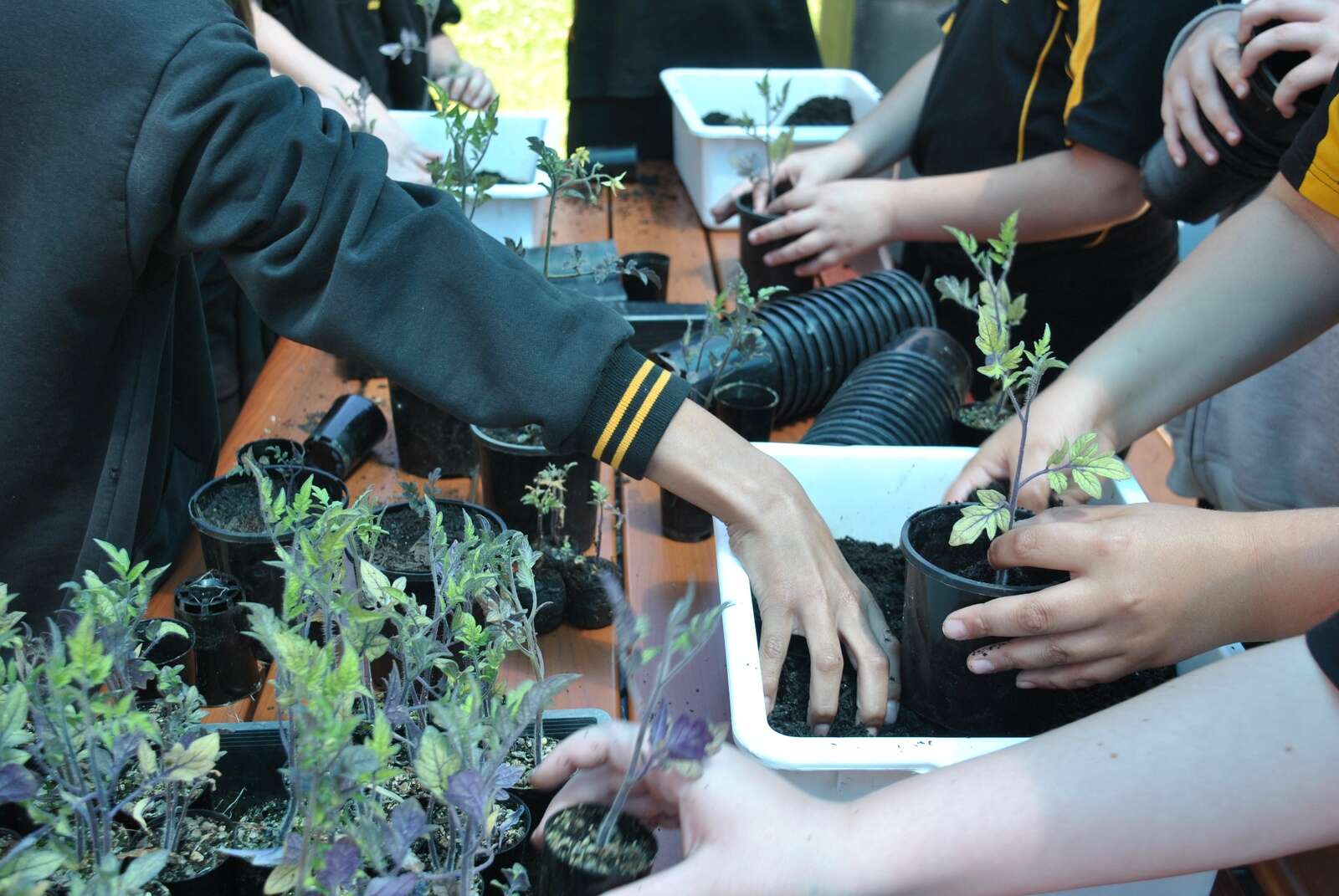 Ardoch’s Learning Through Lunch comes to Shepparton Shepparton News