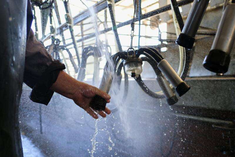 Farm gate milk price drop predicted Dairy News Australia