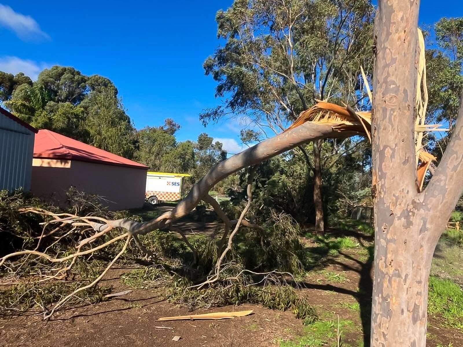 Cobram spared the worst as thunderstorms sweep region