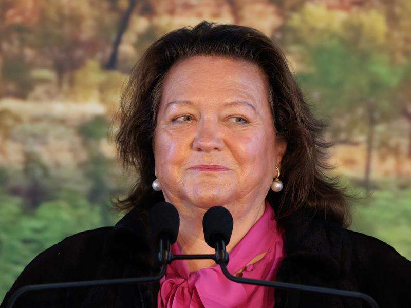 Rinehart pushed father to 'breaking point', court told | Country News