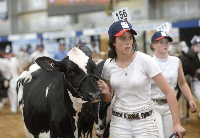 Dairy girls in national finals Riverine Herald
