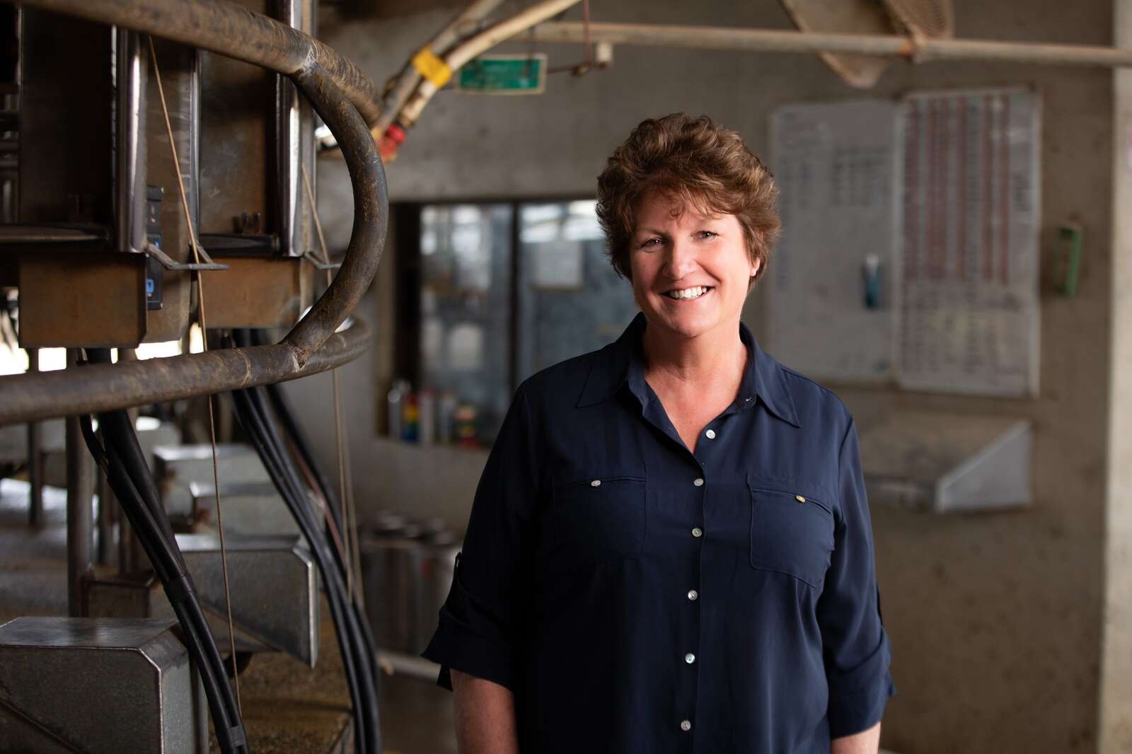 Four vacancies on Dairy Australia Board ahead of AGM Dairy News Australia