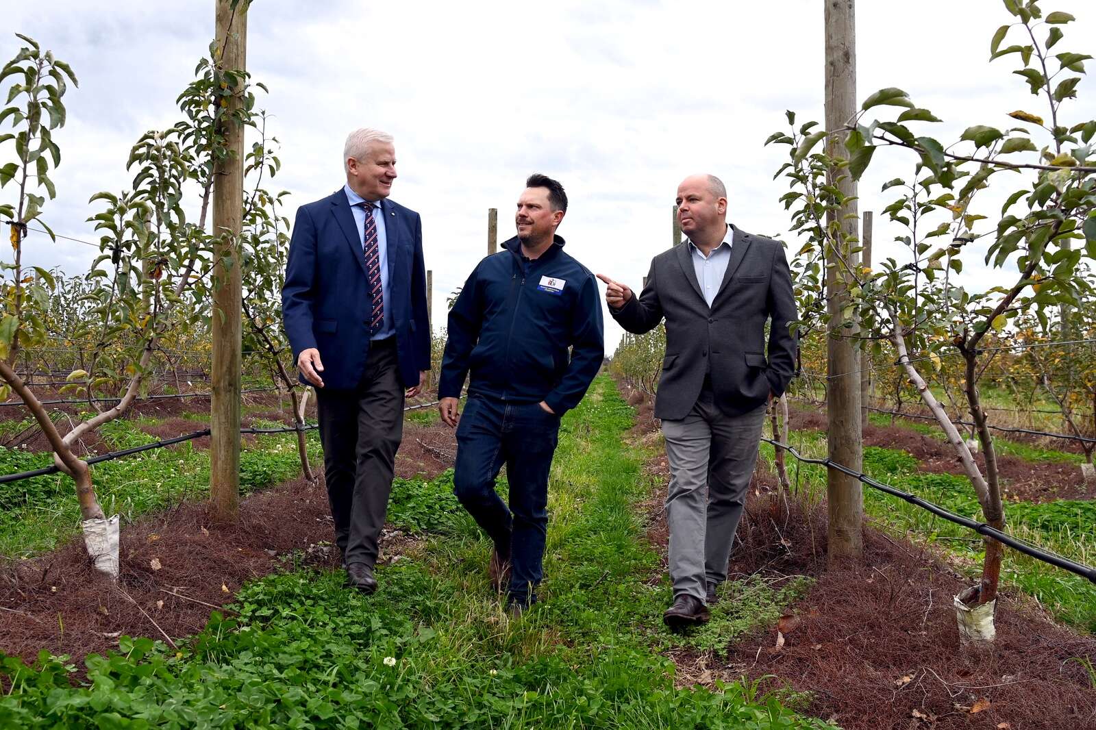MPs talk PALM scheme and buybacks