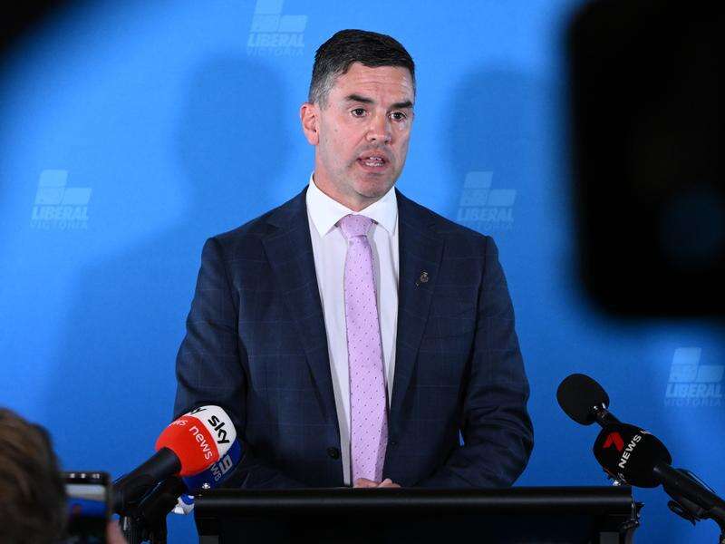 Libs Battin down the hatches as leader outlines vision | Riverine Herald