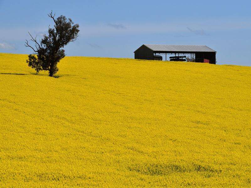 Drier conditions to shrink agricultural production Seymour Telegraph
