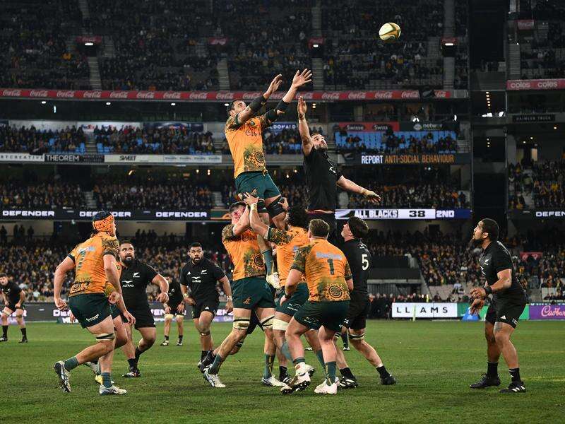 Bookies give Wallabies next to no hope of beating ABs Shepparton News