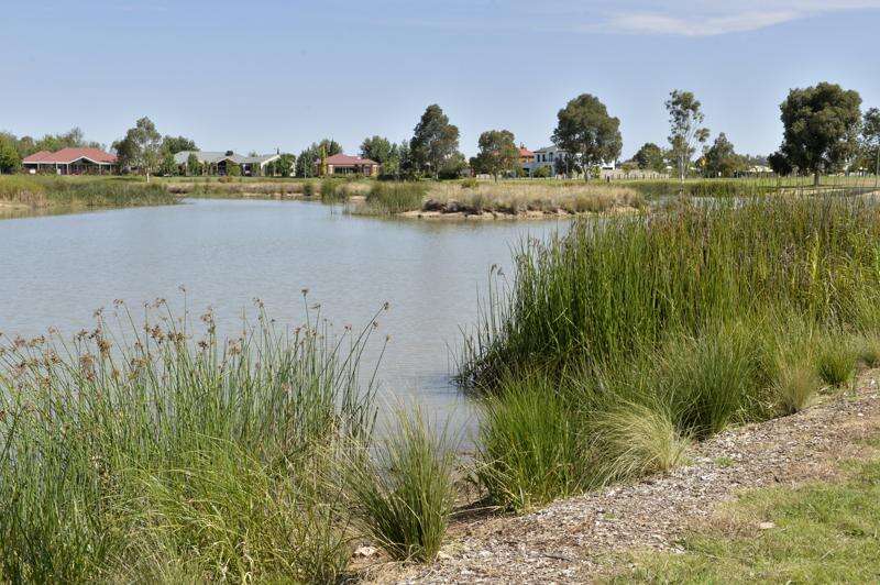 Blue-green algae to be treated at Kialla Lake | Country News