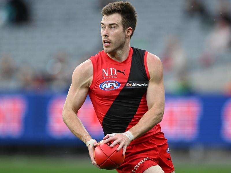 Cats coach addresses Merrett trade report