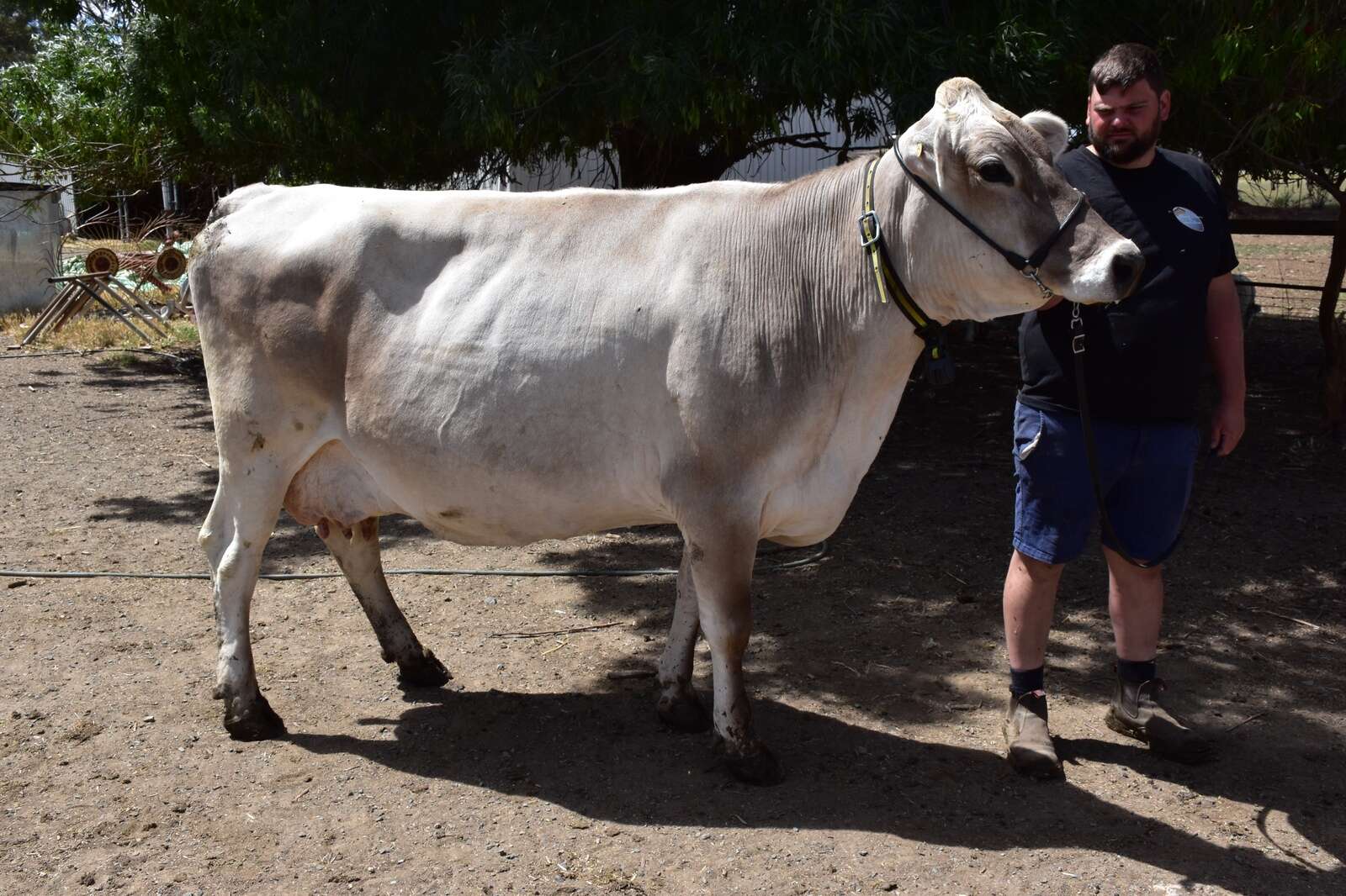 Turning plans into production | Cobram Courier