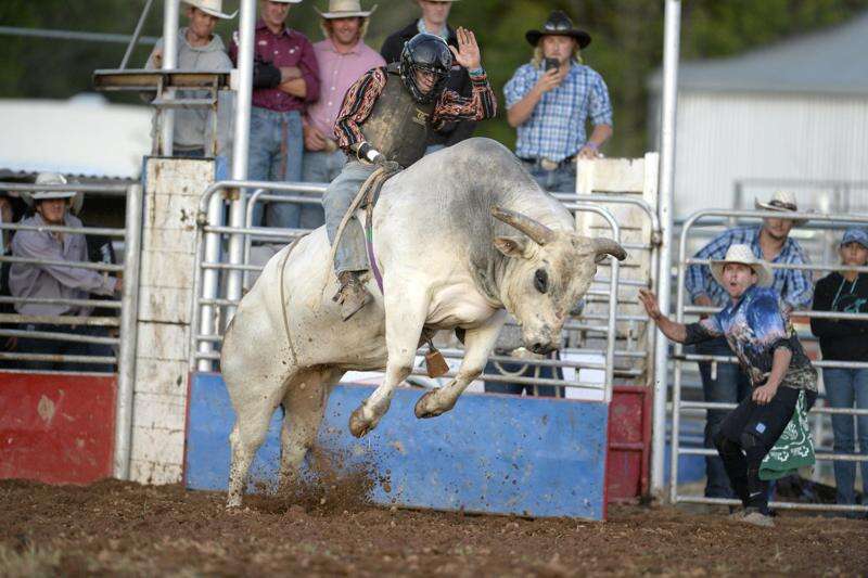 Rodeos hit hard by crowd ban | Country News