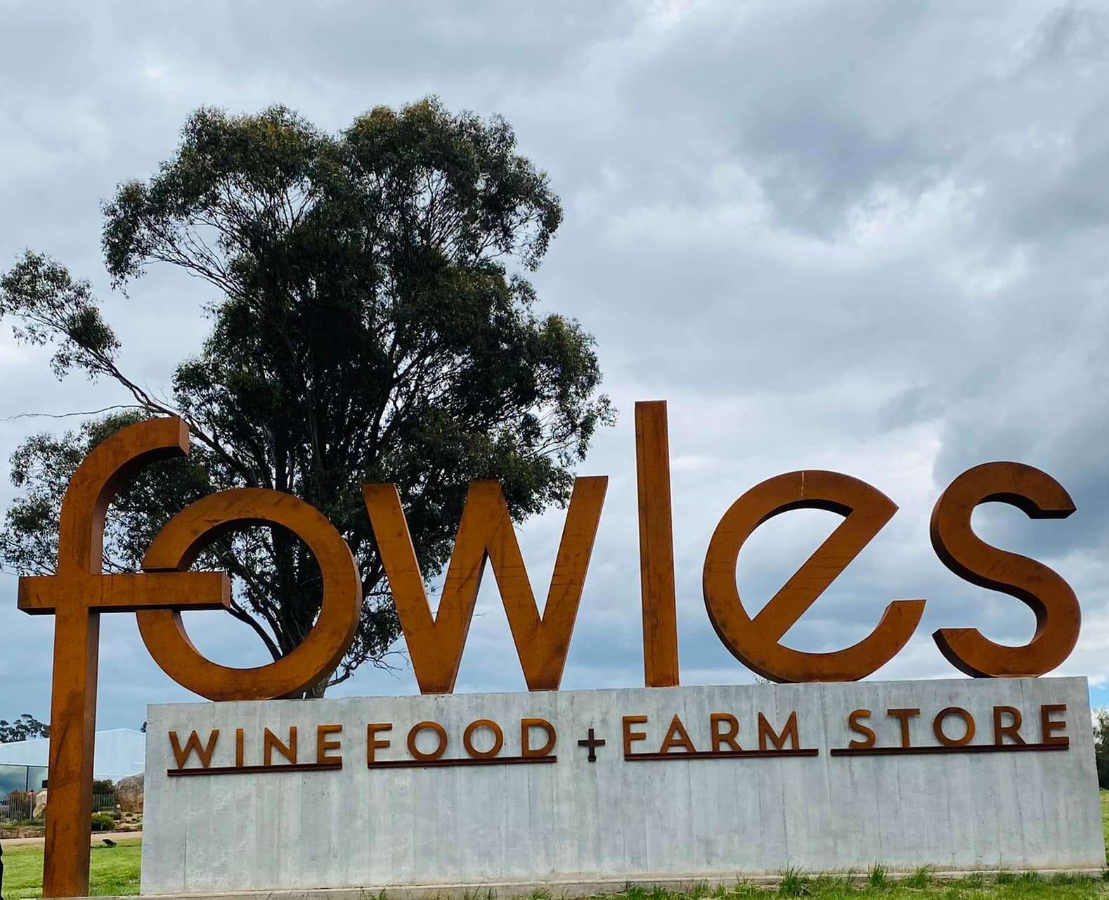 International Women’s Day event celebrates resilience and recovery